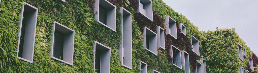 What Happened to EcoHomes?