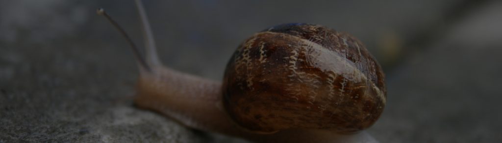 The client is late issuing their Notice to Commence works on site – what should I do?