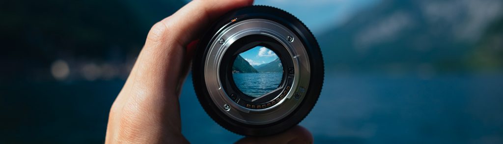 What does bidding look like at a professional level?