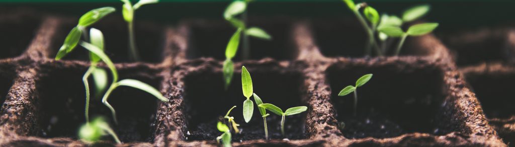 Property e-procurement start-up raises investment from Northern angel investors