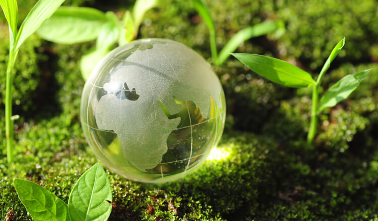 Environmental Management Systems