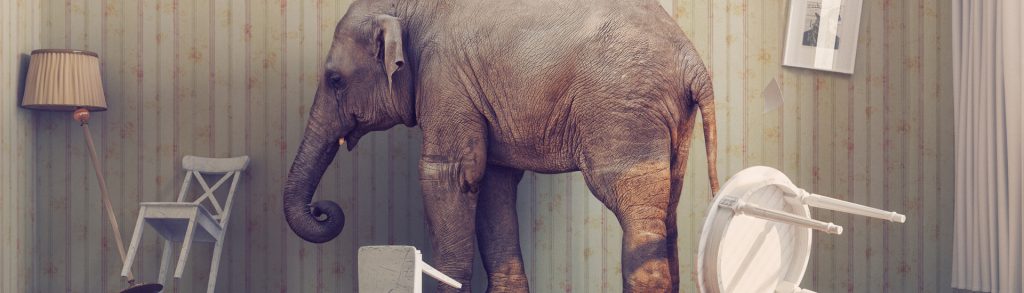 Variations – The Elephant in the Room