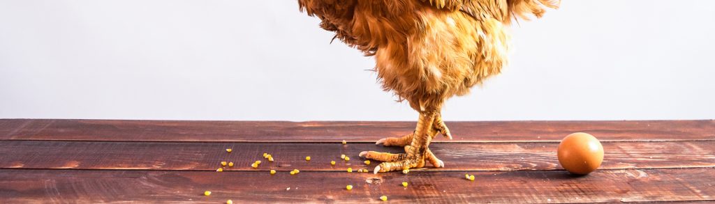 Contract Acceptance by Commencement