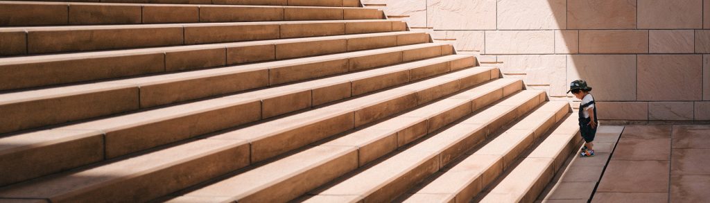 Step in Rights