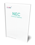 The Comprehensive Guide to NEC Contract Options